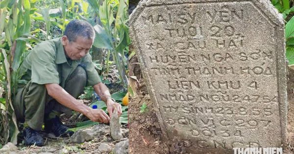 Tấm bia giữa ruộng ngô mở lối đưa liệt sĩ Mai Sỹ Yên về quê hương sau 72 năm