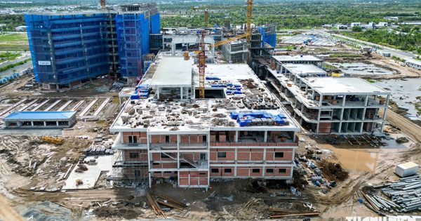 Tạm đình chỉ giải quyết tin báo tội phạm tại bệnh viện 1.200 giường Cà Mau