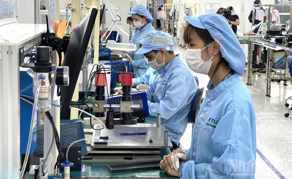 Tận dụng CPTPP để mở rộng xuất khẩu, đa dạng hóa thị trường