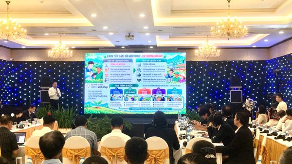 Tăng cường chuỗi giá trị cây trồng an toàn