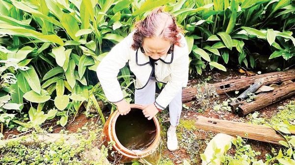 Tăng cường phòng, chống dịch sốt xuất huyết
