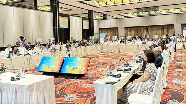 Tăng cường triển khai Đề án phát triển một triệu ha lúa chất lượng cao, phát thải thấp
