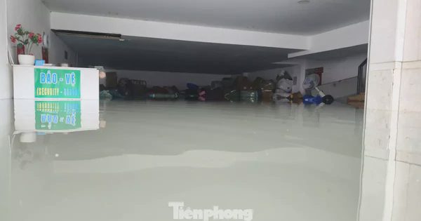 Tầng hầm biệt thự, ngân hàng ở TPHCM ngập sâu, nhiều tài sản ngâm trong nước