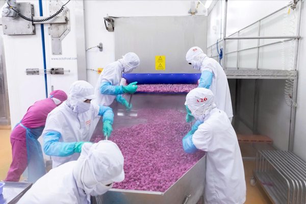 Tăng trưởng GDP hai con số: Tăng tốc đầu tư, đánh thức sức mua