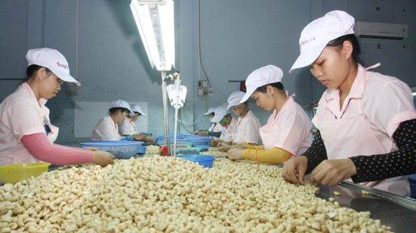 Tạo dựng vị thế trong chuỗi cung ứng sản phẩm Halal