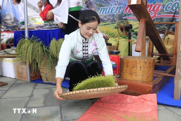 Tạo sinh kế bền vững: Đưa sản phẩm OCOP vào chuỗi giá trị, mở rộng thị trường