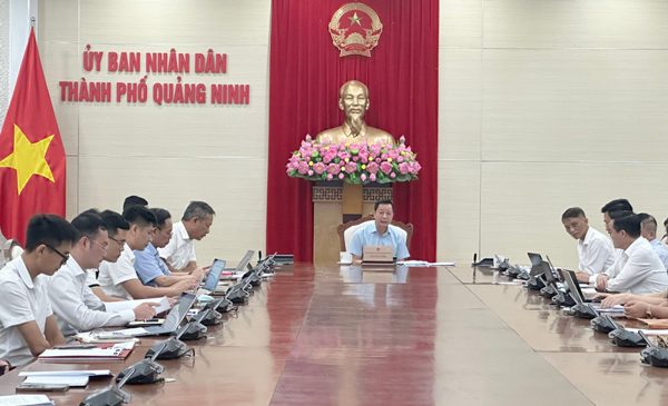 Tập trung tháo gỡ mặt bằng, bảo đảm tiến độ các dự án truyền tải điện tại Quảng Ninh