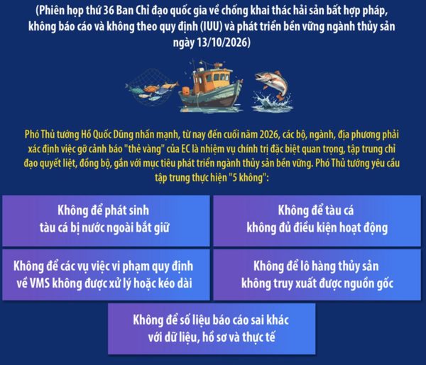 Tập trung thực hiện ‘5 không’ trong chống khai thác IUU