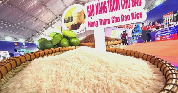 Tây Ninh định vị thương hiệu nông sản trên bản đồ thương mại toàn cầu