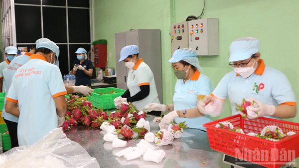 Tây Ninh: Hơn 2.000 doanh nghiệp xuất nhập khẩu, kim ngạch đạt 27 tỷ USD