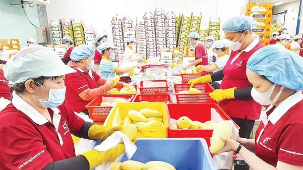 Tây Ninh nâng cao giá trị gia tăng hàng xuất khẩu