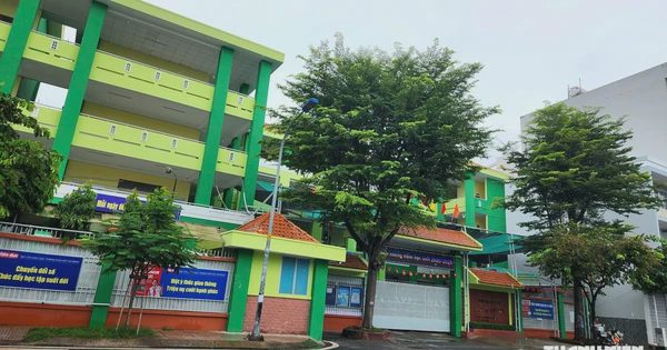 Tên 111 trường tiểu học, mầm non mới thành lập ở TP.HCM sau sắp xếp trường học