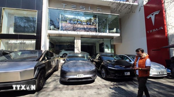 Tesla giữ ngôi vương xe nhập khẩu tại Hàn Quốc