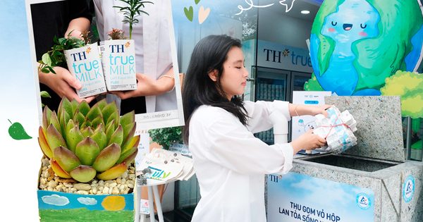 TH trao tặng bàn ghế và kệ sách tái chế đến trẻ em vùng cao