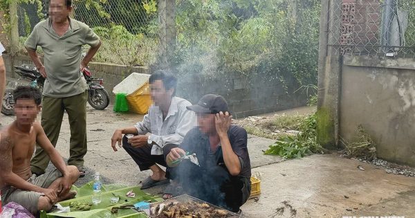Thả lưới bắt cá, ngồi nhậu ngay nơi ngập lụt ở TP.HCM