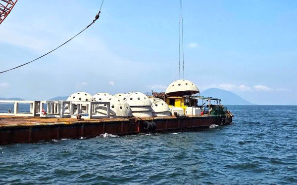 Thả rạn nhân tạo xuống biển bằng khoản tiền bồi thường của Formosa