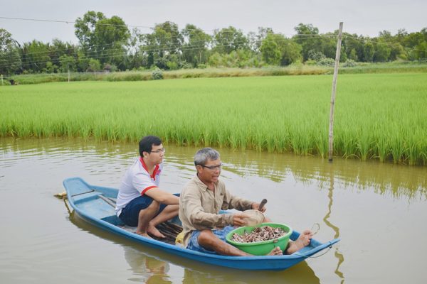 Thạc sĩ về quê trồng lúa, chia sẻ cách tăng thu nhập cho nông dân