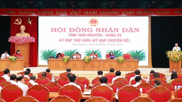 Thái Nguyên chuyển mục đích sử dụng hơn 100ha rừng phục vụ các dự án