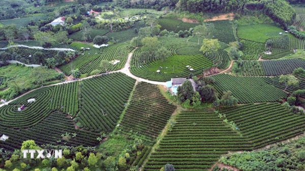 Thái Nguyên có hơn 3,5 triệu thửa đất đạt chuẩn “đúng-đủ-sạch-sống”