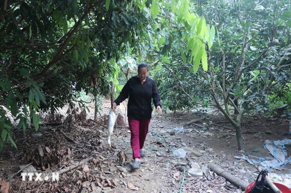 Thái Nguyên: Hé lộ nguyên nhân ban đầu khiến nước sông Cầu đổi màu bất thường