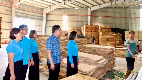 Thái Nguyên: Hoàn thành vượt chỉ tiêu phát triển đoàn viên, công đoàn cơ sở