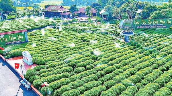 Thái Nguyên nghiên cứu, thí điểm mô hình hợp tác xã xã hội chủ nghĩa