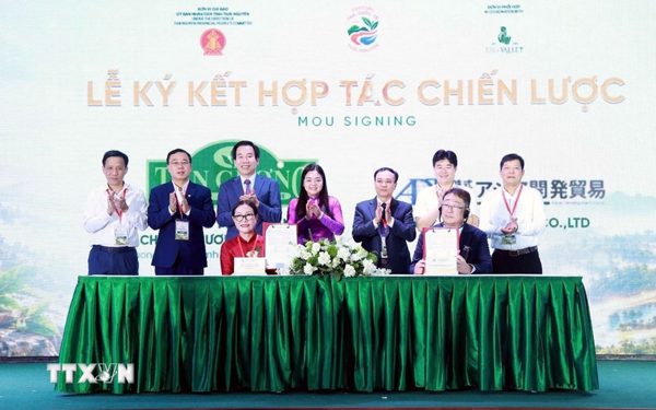 Thái Nguyên thúc đẩy kết nối, phát triển kinh tế trà toàn cầu