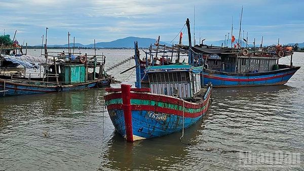 Thanh Hóa: Các địa phương, doanh nghiệp ứng phó với mưa lớn