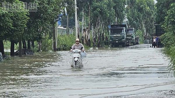 Thanh Hóa: Tập trung tiêu thoát nước, bảo vệ cây trồng, vật nuôi