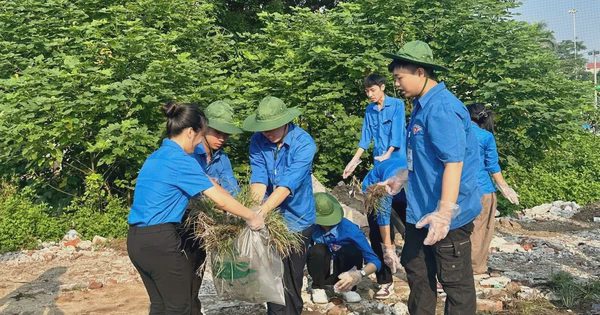 Thanh niên 126 xã, phường Hà Nội ra quân bảo vệ môi trường