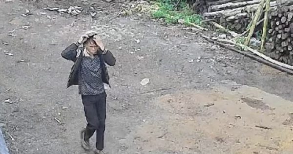 Thanh niên bị chó cắn rồi rời đi, dân mạng ráo riết tìm để nhắc tiêm phòng dại