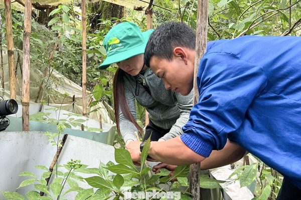 Thanh niên Đà Nẵng hiến kế gỡ khó vốn khởi nghiệp, lập nghiệp