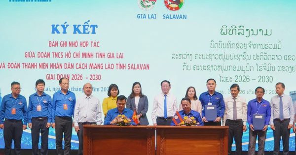Thanh niên Gia Lai kết nối bạn trẻ Lào, Campuchia để cùng khởi nghiệp