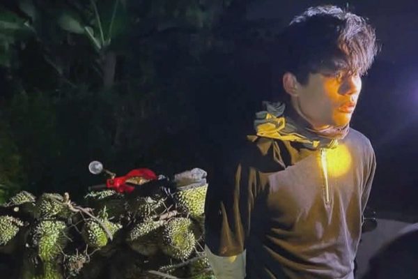 Thanh niên Hải Phòng trộm sầu riêng, cúi đầu xin lỗi nông dân khi bị bắt