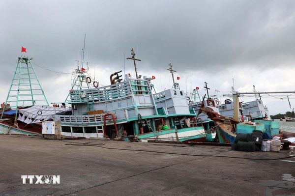 Thành phố Hồ Chí Minh: Giải quyết dứt điểm tồn tại trong chống khai thác IUU