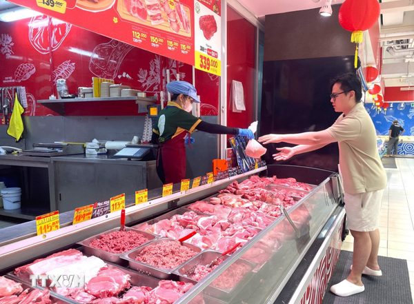 Thành phố Hồ Chí Minh siết chặt phòng dịch, đảm bảo nguồn cung thịt lợn cuối năm
