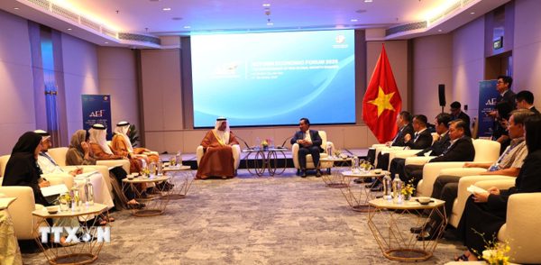 Thành phố Hồ Chí Minh thúc đẩy hợp tác năng lượng với UAE