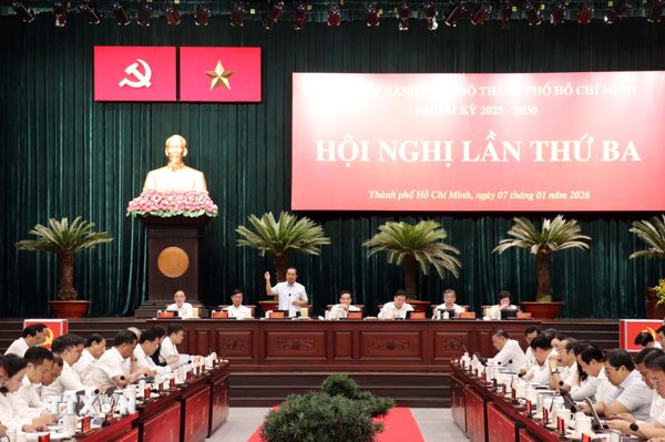 Thành ủy Thành phố Hồ Chí Minh có thêm hai Đảng bộ cơ sở trực thuộc