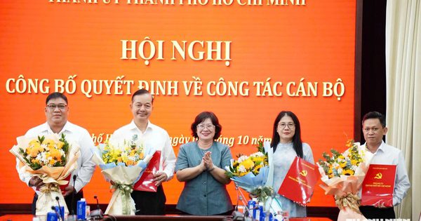 Thành ủy TP.HCM điều động 4 cán bộ về Ban Nghiên cứu phát triển