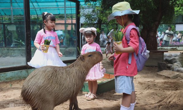 Thảo Cầm Viên báo lãi nhờ đón gần 2 triệu lượt khách
