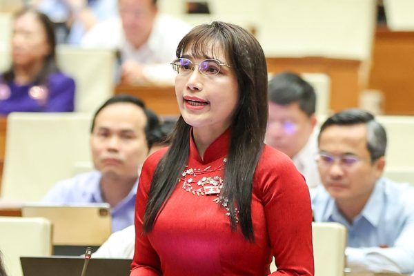 Thầy cô giáo đâu phải chuyên gia tài chính để định giá, làm đấu giá viên