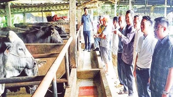 Thay đổi tư duy chăn nuôi