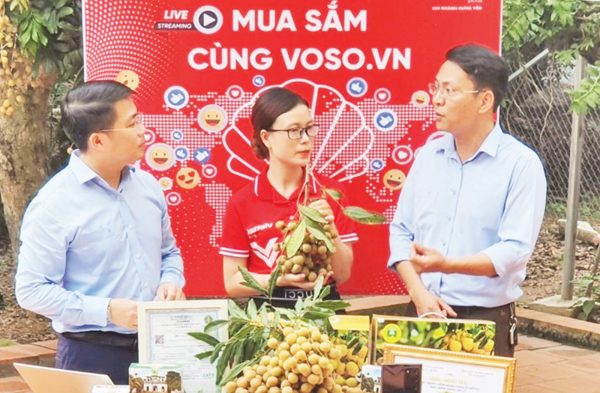 Thêm nhiều kênh tiêu thụ nhãn lồng Hưng Yên