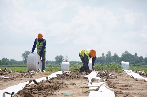 Thi công xuyên lễ dự án cao tốc hơn 9.700 tỷ qua Cần Thơ