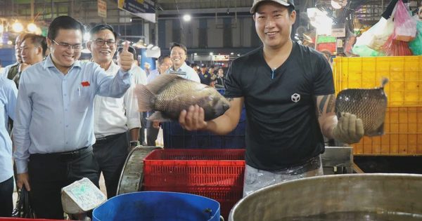 'Thị sát' chợ đầu mối ở TP.HCM: Đề nghị xử lý nghiêm điểm kinh doanh tự phát, không phép