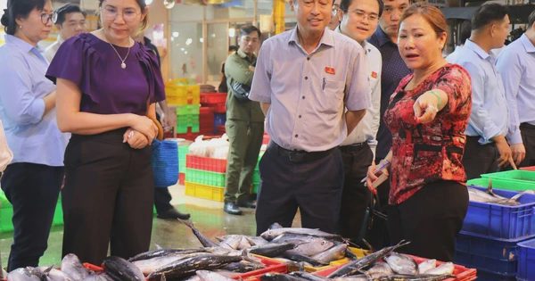 'Thị sát' chợ đầu mối ở TP.HCM: Mua bán tự phát không đảm bảo ATTP