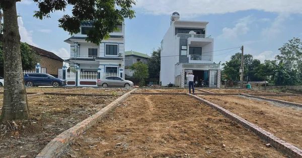 Thị trường bất động sản Hà Nội 2026 trầm lắng, đất nền khó tìm được người mua dù giá giảm sâu