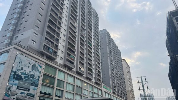 Thị trường văn phòng linh hoạt toàn cầu bước vào giai đoạn phát triển mới