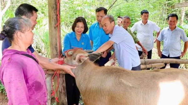 Thiết thực hỗ trợ sinh kế cho hộ nghèo, hộ cận nghèo