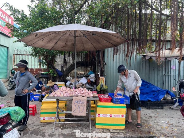 Thịt đông lạnh nhập khẩu: Mua càng nhiều, giá càng rẻ